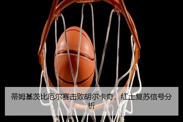 di-mu-ji-ci-bi-e-er-sai-ji-bai-hu-er-ka-qi-hong-tu-fu-su-xin-hao-fen-xi-3-582.jpg